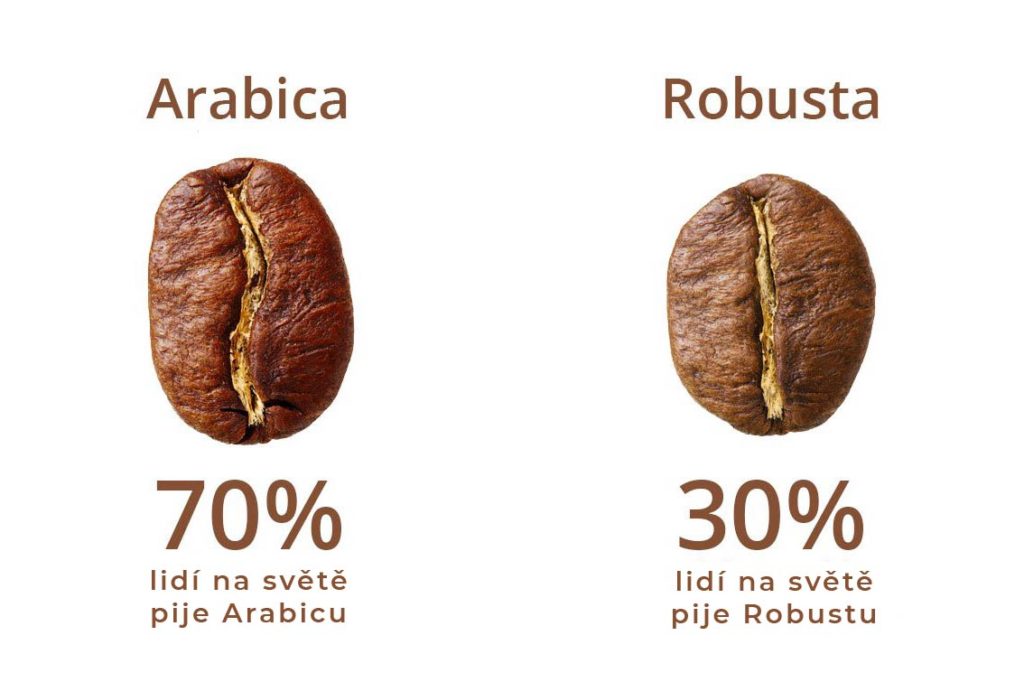 Arabica vs. Robusta aneb poznáte rozdíl?